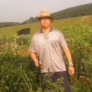 행운농장 이미지