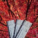 유용준 | [뮤지컬] 님만헤민게스트 하우스 후기