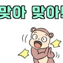 비슬고등학교 앞 이미지