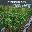 -무박2일 여수시 향일암해돋이및 금오도 대부산 산행공지 (5월11일~12일) 이미지