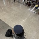 대민렌터카 이미지