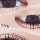 뷰티나속눈썹 이미지