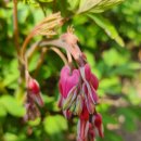 산속농장 이미지