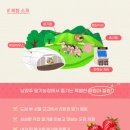 제철태권도 이미지