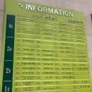 선릉동물약국 | 강남 선릉역왁싱 웨딩촬영 준비 비에라샵 헤어라인 정리 후기