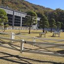 서울승마힐링캠프 이미지