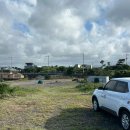 신흥늦장 이미지