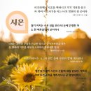 하나님을 만나려면 어디로 가야 하나 | 하나님의교회 세계복음선교협회, 안상홍님, 어머니하나님 이미지