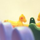 남들어린이집 이미지