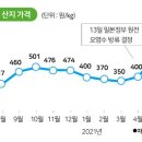 소금자루