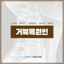 참편한정형외과의원 이미지