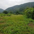 용문보건지소 이미지