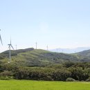 대관령목장 이미지