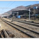 흥전초등학교 이미지