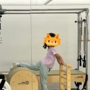 키즈 필라테스 이미지
