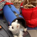 대청호대덕뮤직패스티벌 | [대청호대덕뮤직페스티벌] 후기