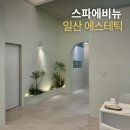 에비뉴 | 일산 에스테틱 만족스러운 수기 윤곽관리 스파에비뉴 후기