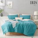 아이리스 이미지