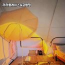 특별한 경험이 가득한 라라플레이스&amp;글램핑