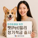 펫밀리 이미지