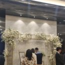 플로리아제이 | [강남 그랜드힐컨벤션] 25년 하반기 상담 후기(계약x), 견적 공유, 제이웨딩 플래너 예약