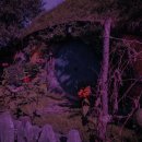 충의농장 이미지