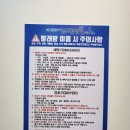 미스터컵 이미지