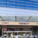 참어울림 | 겨울방학 공연 최형배마술사의 꿈꾸는 매직문 과천과학관 어울림홀 7세 이용후기