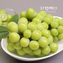 서상주농업협동조합 이미지