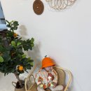 제주조우아 조수 이미지