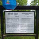 영천 자천리 오리장림 이미지