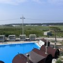 스테이쇼드 이미지