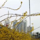 송림제 이미지