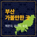 오시리아수변공원 | 🌊 부산 가볼만한곳 &amp; 바다뷰 호텔 추천 │ 해운대·광안리 감성코스 총정리