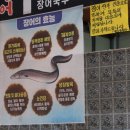 병호돌장어