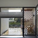 제주토끼 이미지