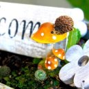 코리아행정 법률사무소 이미지