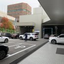 이화카독크 이미지