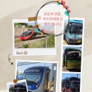 세원자동차 | 울산좌석버스 (주) 세원 1723번 2406호