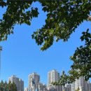 라일락산부인과의원 이미지