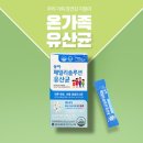 동아메디텍 | 임산부 유산균 유목민 이제는 정착하세요~ 신생아 부터 온가족 추천!