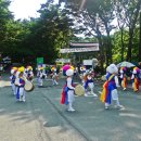 제19회 김해 신어산 철쭉축제 이미지