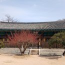 통도사 이미지