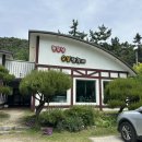 좋은날;여기 | 웨이팅이 이해되는 태안 현지인 찐맛집! 구워주는 좋은날숯불닭갈비 내돈내산 후기