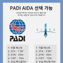 이재윤 | 프리다이빙 입문 수업 1회차 후기 : 프리다이빙 종목 알아보기 (with 디바다이브 이재윤강사님)