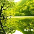 제1432호 이미지