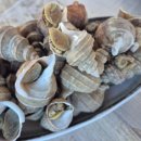 장수회식당 이미지