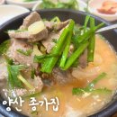 양산 24시 돼지국밥 야식 식당 찾다 발견한 맛집 종가집