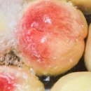 다해농장 이미지