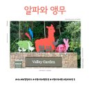 비담스테이 | 가평가족여행추천 더스테이힐링파크 알파와 앵무